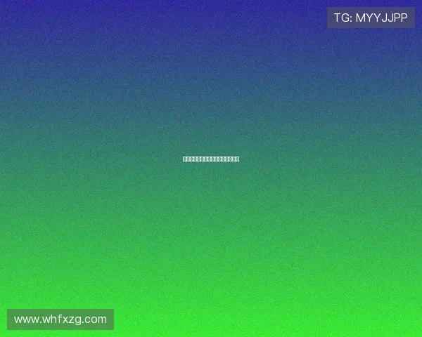 黄蜂为唯一总冠军经验选择留康诺顿